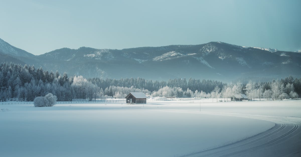 discover effective strategies for cold outreach tracking to optimize your marketing efforts. learn how to measure the success of your outreach campaigns, improve engagement with potential clients, and enhance your overall communication approach.